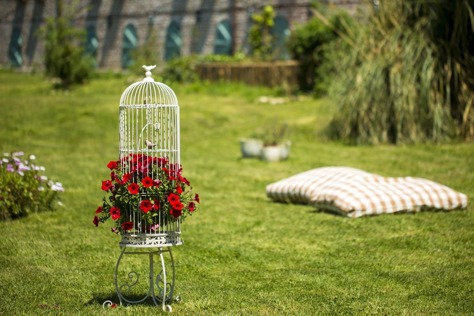 Agva Greenline Guesthouse (Adults Only) מראה חיצוני תמונה